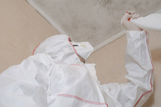 Best Emergency Mold Remediation in Mill Creek East, WA